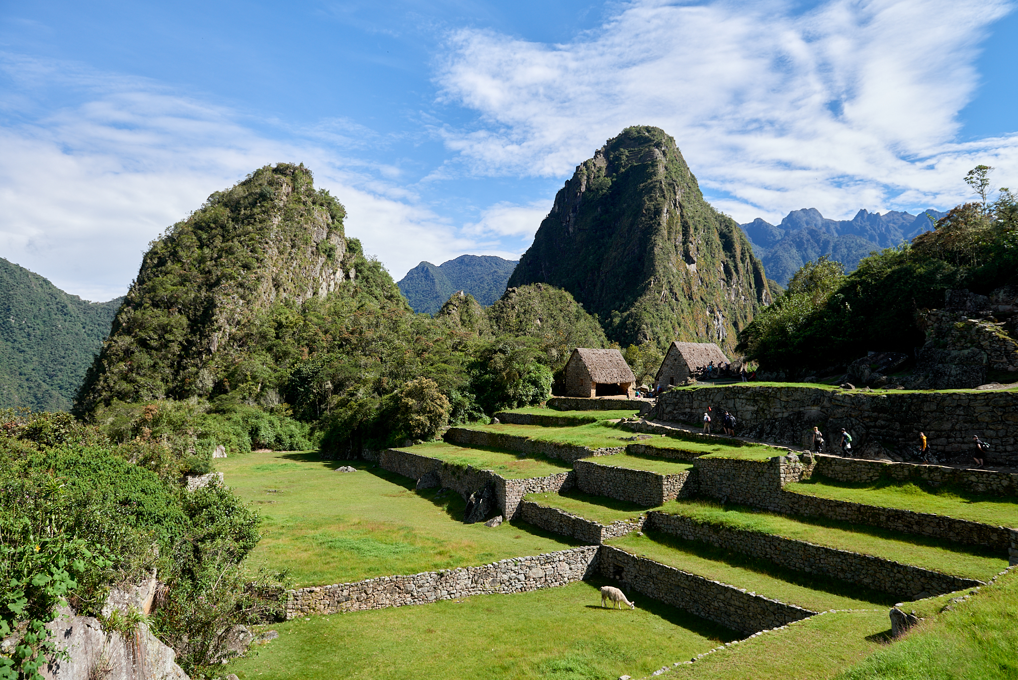 20200308 670 [페루] 마추픽추